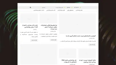 اسکرین شات سایت رزیک - تحلیل رتبه و سئو
