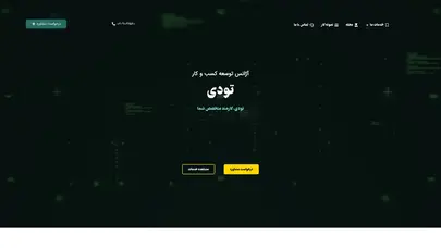 اسکرین شات سایت تودی،طراحی سایت، سئو و تبلیغات - تحلیل رتبه و سئو