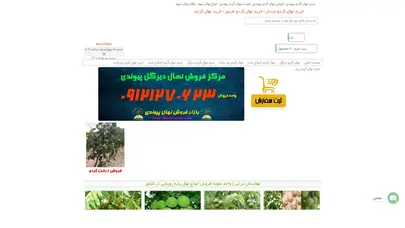 اسکرین شات سایت خرید نهال گردو : نهالستان گردو پیوندی - تحلیل رتبه و سئو