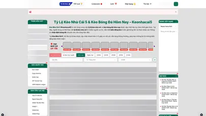 اسکرین شات سایت خدمات توسعه دهندگان و پرداخت آنلاین - دولوپر 98 - تحلیل رتبه و سئو