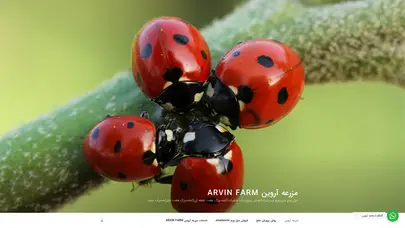 اسکرین شات سایت مزرعه آروین Arvin Farm • میل ورم سوپرورم جیرجیرک|عوامل بیولوژیک| حشرات|کفشدوزک هفت نقطه ای|کفشدوزک هفت خال|حشرات مفید - تحلیل رتبه و سئو