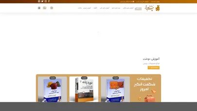 اسکرین شات سایت صفحه اصلی - چرم برتر - تحلیل رتبه و سئو