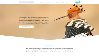 اسکرین شات سایت صفحه اصلی - سرمایه‌گذاری جسورانه هدهد - تحلیل رتبه و سئو