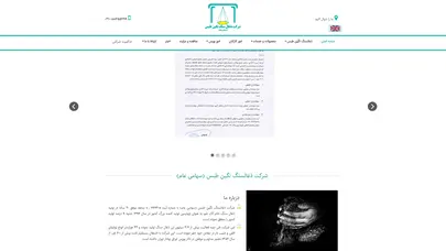 اسکرین شات سایت شرکت ذغالسنگ نگین طبس (سهامی عام ) - تحلیل رتبه و سئو
