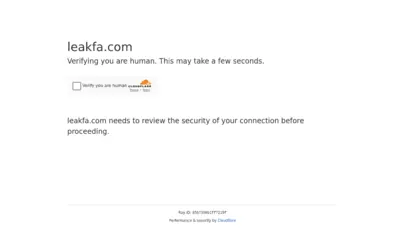 leakfa: iranian leakage tracking system | لیکفا: سامانه ردیابی نشت اطلاعات ایرانیان