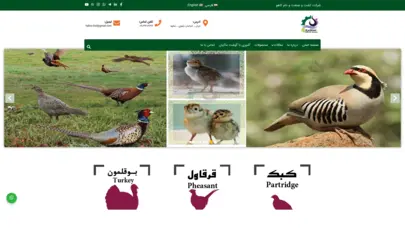 اسکرین شات سایت صفحه اصلی - شرکت کشت و صنعت و دام کاهو - تحلیل رتبه و سئو