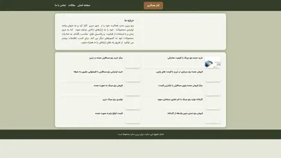 اسکرین شات سایت زرین ساپ - تحلیل رتبه و سئو