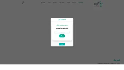 اسکرین شات سایت آکادمی کاریزما - تحلیل رتبه و سئو