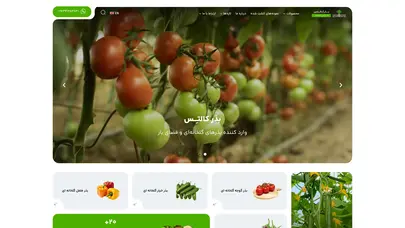اسکرین شات سایت صفحه نخست - شرکت بذر کالتِس - تحلیل رتبه و سئو