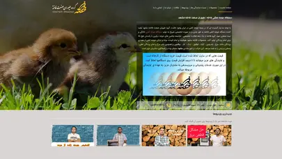 اسکرین شات سایت دستگاه جوجه کشی فاخته – فاخته تولید کننده انواع دستگاه جوجه کشی - تحلیل رتبه و سئو