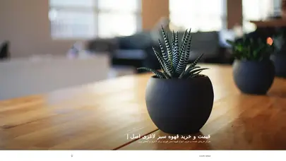اسکرین شات سایت قیمت و خرید قهوه سبز لاغری اصل | - مرکز فروش عمده و جزیی انواع قهوه سبز فوری برای لاغری و کاهش وزن - تحلیل رتبه و سئو