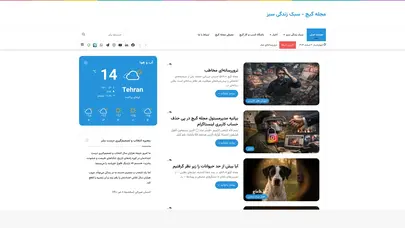 اسکرین شات سایت مجله گیچ - تحلیل رتبه و سئو