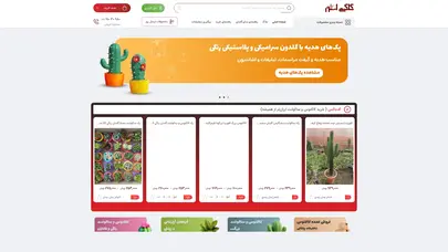 اسکرین شات سایت خرید کاکتوس ارزان در فروشگاه کاکتی استور-🌵 کاکتوس، ساکولنت - تحلیل رتبه و سئو
